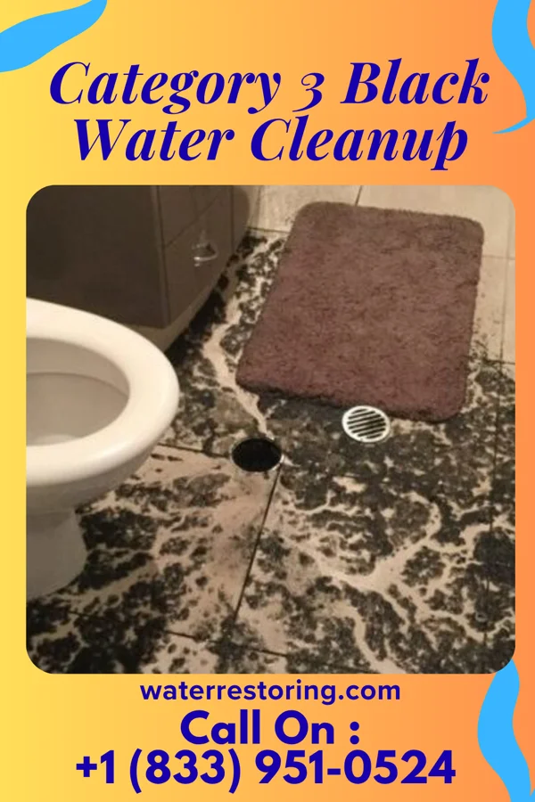 Category 3 Black Water Cleanup in Sayre, PA