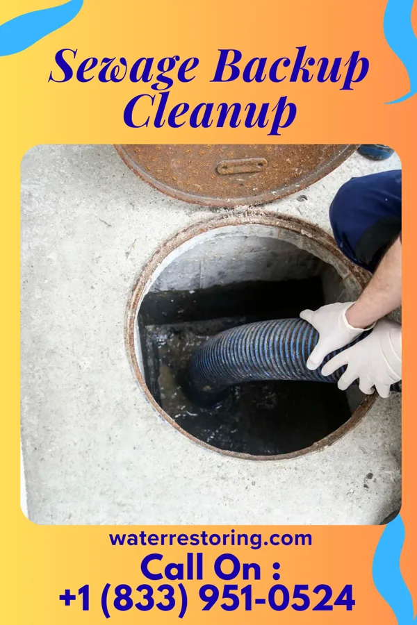 Sewage Backup Cleanup in Sayre, PA